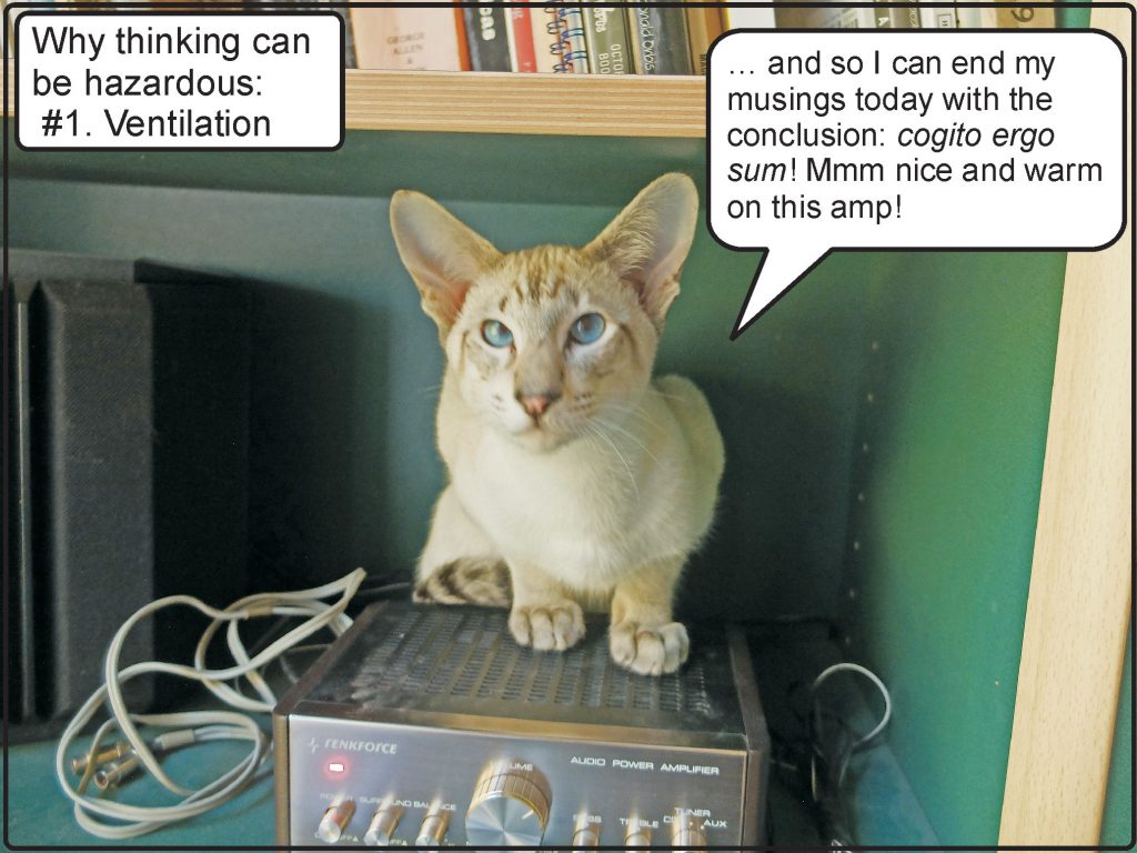 Cat ventilation hazard