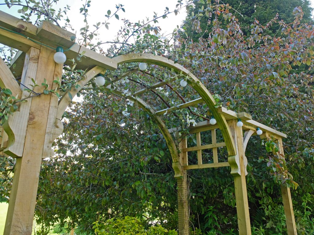 Garden arch 1