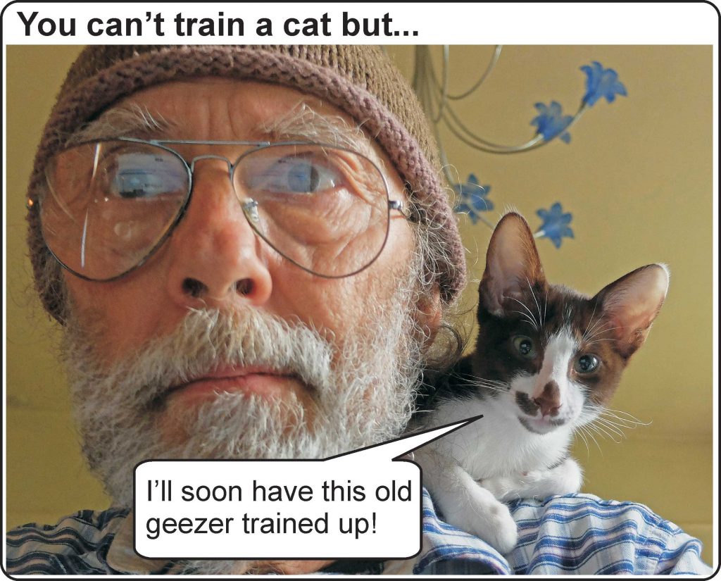 Can't train a cat but...